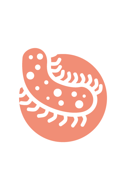 微生物